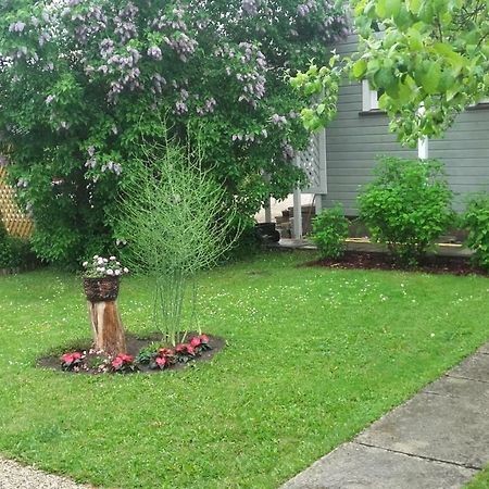 Haavalehe Summer House Haapsalu Εξωτερικό φωτογραφία